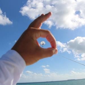 Meet your Posher, Casey